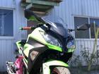 カワサキ Ｎｉｎｊａ　２５０　エクストリーム仕様　ＢＥＥＴ製ＮＡＳＥＥＲＴサイレンサー　ＣＲＡＺＹ　ＩＲＯＮ製エンジンケージ　ＣＲＡＺの画像（埼玉県