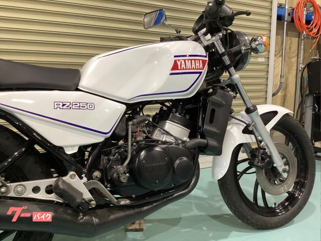 ヤマハ ＲＺ２５０ 昭和５７年 レストア済み オリジナルパーツ｜Ｌｉｇｈｔ Ｐｏｓｉｔｉｏｎ ライトポジション｜新車・中古バイクなら【グーバイク】