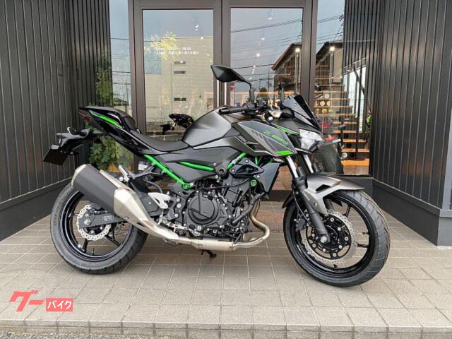 Ｚ２５０　２０２４年モデル