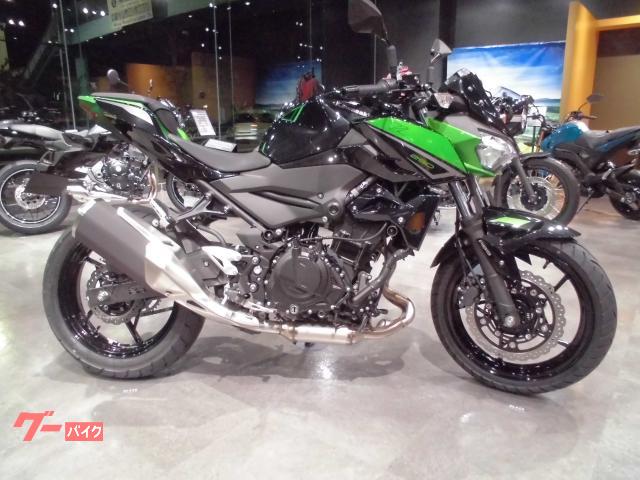 Ｚ２５０　２０２３年モデル