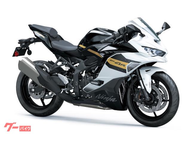 Ｎｉｎｊａ　ＺＸ−４Ｒ　ＳＥ