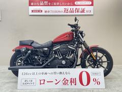 ＨＡＲＬＥＹ−ＤＡＶＩＤＳＯＮ　ＸＬ８８３Ｎ　アイアン　２０１９年モデル　ペアライド仕様　エンジンガード　スカルダービーカバー　サドルバック　サイドナンバーキット