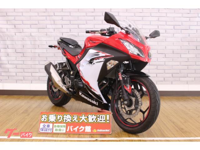 Ｎｉｎｊａ　２５０／２０１３年モデル／