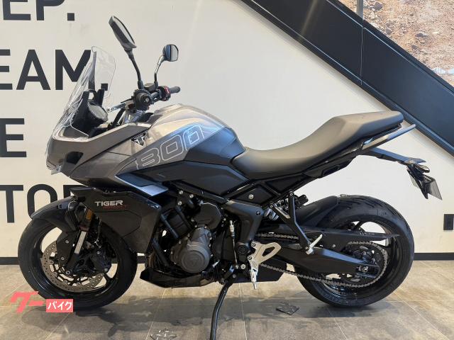 TRIUMPH 800 — миниатюра 3