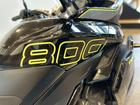 タイガースポーツ800