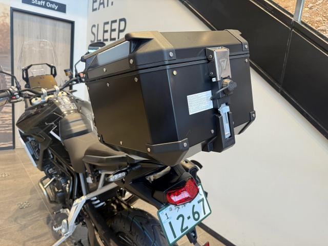 タイガー900ラリー PRO