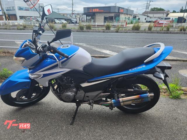 ＧＳＲ２５０　ＥＴＣ　ＦＩ　ＭｏｔｏＧｅａｒマフラー　トリトンブルーメタリック／パールグレッシャーホワイト