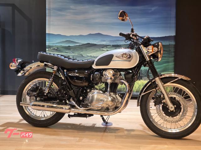 Ｗ８００　２０２６年ＮＥＷカラー