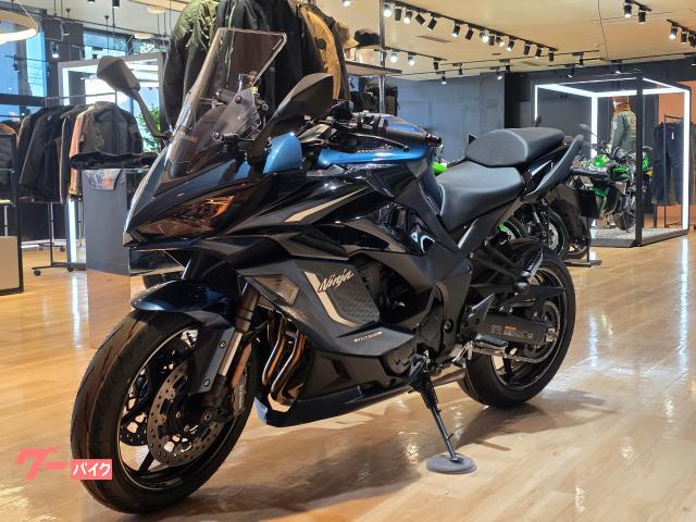 のぶ N-EvoⅡ スリップオンマフラー Ninja ZX-6R 24-｜スリップオン