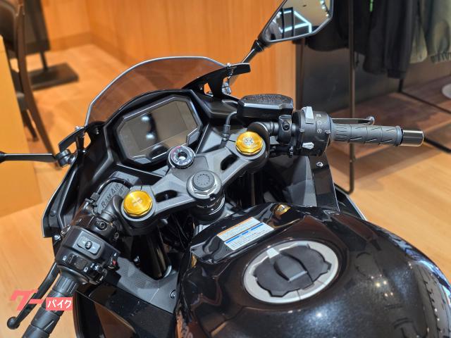カワサキ Ninja ZX－25R SE 2026年モデル メタリック