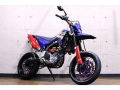 ヤマハ　ＷＲ２５０Ｘ　ＤＧ１５Ｊ　ＥＴＣ　ＳＰ忠男パワーＢＯＸ　グリップヒーター　他　カスタムペイント