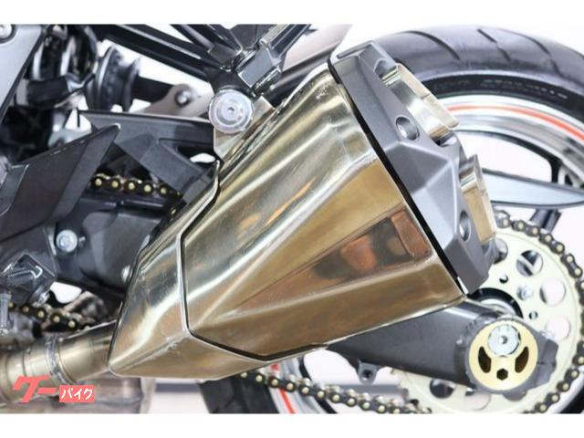 カワサキ Z1000 ZRT00D 2010モデル マレーシア仕様 カワサキ Z1000 ZRT00D 2010モデル マレーシア仕様