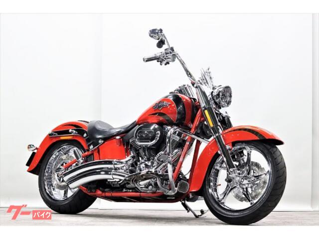 ＨＡＲＬＥＹ－ＤＡＶＩＤＳＯＮ ＣＶＯ ＦＬＳＴＳＥ２ ソフテイル