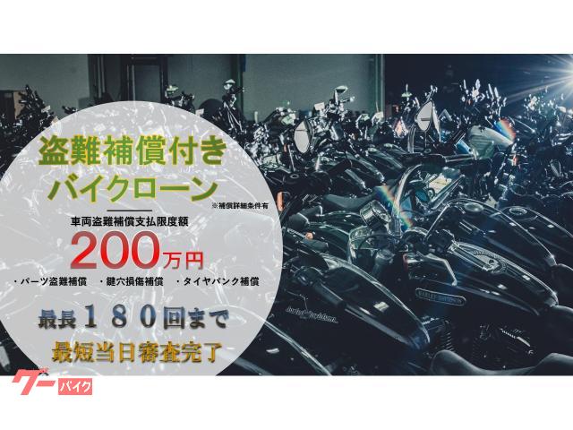 HARLEY－DAVIDSON FXBB ソフテイルストリート