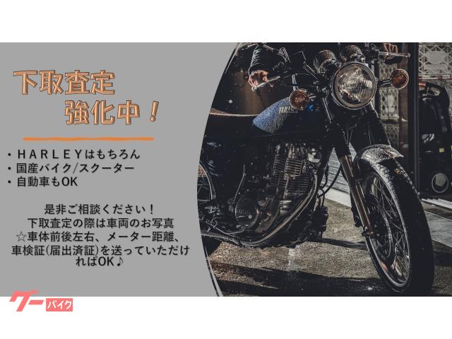 ＨＡＲＬＥＹ－ＤＡＶＩＤＳＯＮ ＶＲＳＣＤＸ ナイトロッドスペシャル