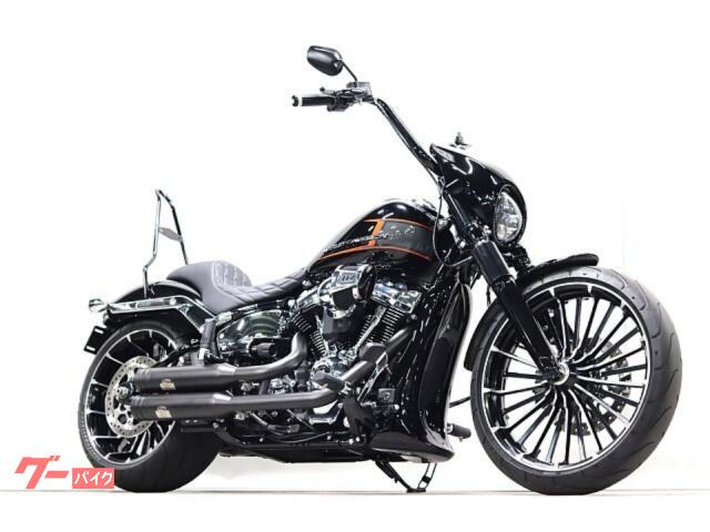 ＨＡＲＬＥＹ－ＤＡＶＩＤＳＯＮ ＦＸＢＲ ソフテイル ブレイクアウト