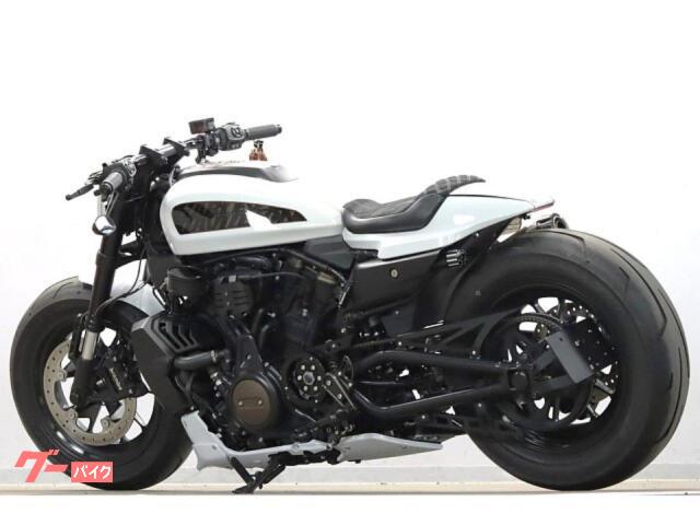 TBRフルエキスポーツスターS RH1250用