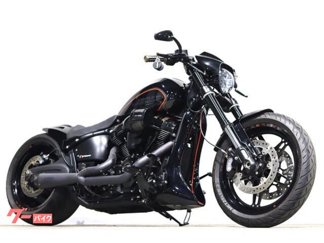 ＦＸＤＲ１１４　　ＴＢＲマフラー　ＳＥエアクリ　ハイカム　チューニング　Ｔｈｕｎｄｅｒｂｉｋｅエアサス　ショートフェンダー