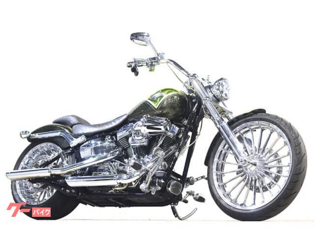 ＣＶＯ　ＦＸＳＢＳＥ　ブレイクアウト　　Ｖａｎｃｅマフラー　ＤＡＹＴＯＮＡサイドナンバーキット　ＥＴＣ