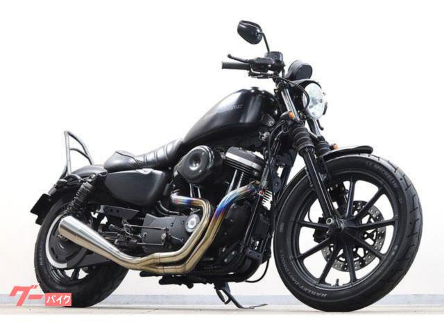 ＸＬ８８３Ｎ　アイアン　２０１６ｙｍ　チューニング車両　ＴＲＡＭＰマフラー　バックステップキット　Ｓ＆Ｓエアクリ　ＥＴＣ