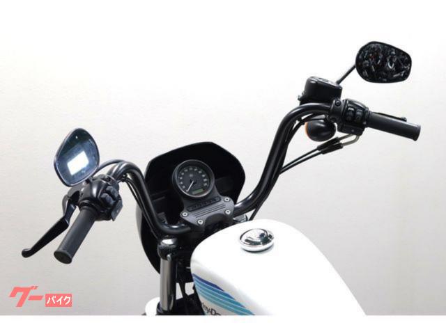 HARLEY－DAVIDSON XL1200NSアイアン 2018y