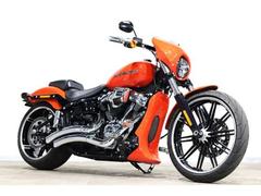 ＨＡＲＬＥＹ−ＤＡＶＩＤＳＯＮ　ＦＸＢＲＳ　ソフテイル　ブレイクアウト１１４　バンス＆ハインズマフラー　チンスポイラー　ビキニカウル　純正ＯＰエアクリ