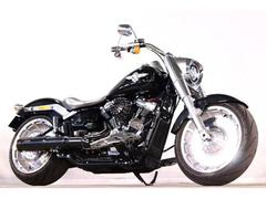 ＨＡＲＬＥＹ−ＤＡＶＩＤＳＯＮ　ＦＬＦＢＳ　ソフテイルファットボーイ１１４　２０１８ｙ　ＭＯＴＯＲ　ＳＴＡＧＥフルエキ　チューニング　Ａｒｌｅｎ　Ｎｅｓｓエアクリ