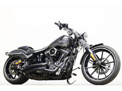 ＨＡＲＬＥＹ−ＤＡＶＩＤＳＯＮ　ＦＸＳＢ　ブレイクアウト　ＴＣ９６Ｂ　バンスビッグラディウスマフラー　ＲＳＤタービンエアクリ　キジマ　サドルバックステー　ＥＴＣ