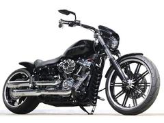 ＨＡＲＬＥＹ−ＤＡＶＩＤＳＯＮ　ＦＸＢＲＳ　ソフテイル　ブレイクアウト１１４　ジキル音量可変マフラー　トルクカム　ＡｒｌｅｎＮｅｓｓエアクリ　ショートリアフェンダ