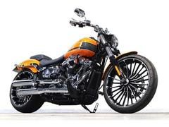 ＨＡＲＬＥＹ−ＤＡＶＩＤＳＯＮ　ＦＸＢＲ　ソフテイル　ブレイクアウト　１１７　ＲＩＮＥＨＡＲＴスリップオンマフラー　ステップバックキット
