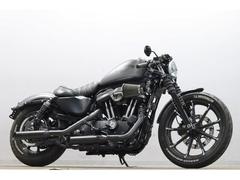 ＨＡＲＬＥＹ−ＤＡＶＩＤＳＯＮ　ＸＬ８８３Ｎ　アイアン　２０１６ｙ　後期型　セパハン　クロームワークスマフラー　ＳＥエアクリ　ケラーマン