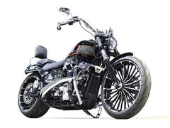 ＨＡＲＬＥＹ−ＤＡＶＩＤＳＯＮ　ＦＸＢＲ　ソフテイル　ブレイクアウト　Ｂａｓｓａｎｉマフラー　Ｋｅｌｌｅｒｍａｎｎウィンカー　ＡｒｌｅｎＮｅｓｓハンドルバー