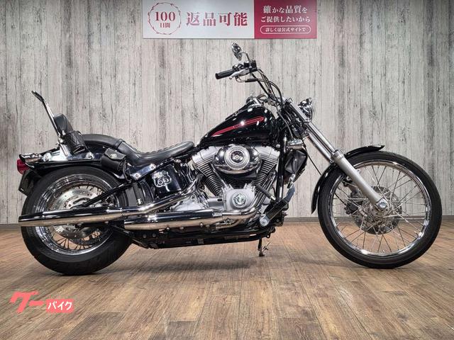 ＦＸＳＴ　ソフテイルスタンダード　デタッチャブルバックレスト