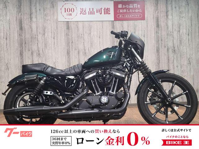 ＸＬ８８３Ｎ　アイアン　マイクロウインカー　ビキニカウル