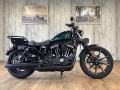 ＨＡＲＬＥＹ−ＤＡＶＩＤＳＯＮ　ＸＬ８８３Ｎ　アイアン　デタッチャブルリアキャリア　サイドバック