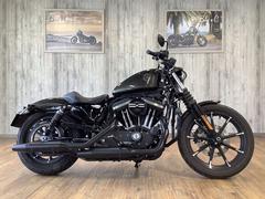 ＨＡＲＬＥＹ−ＤＡＶＩＤＳＯＮ　ＸＬ８８３Ｎ　アイアン　エアクリカスタム　ワンオーナー