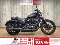 ＨＡＲＬＥＹ−ＤＡＶＩＤＳＯＮ　ＸＬ８８３Ｎ　アイアン　サドルバック装備