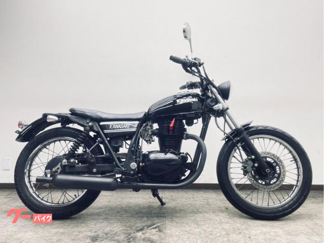 ２５０ＴＲ／カスタムペイント／キャプトンマフラー
