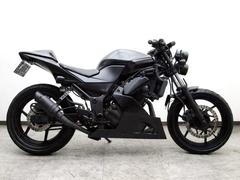 カワサキ　Ｎｉｎｊａ　２５０Ｒ