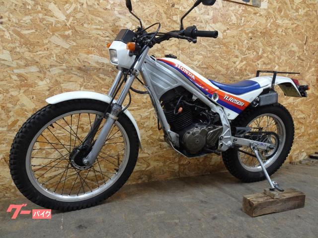 ホンダ TLR250R ノーマル トライアル｜Moto Vivace