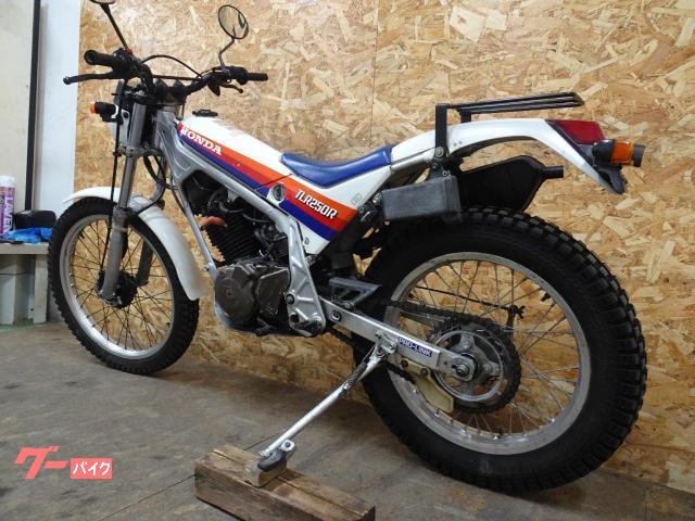 ホンダ TLR250R ノーマル トライアル｜Moto Vivace