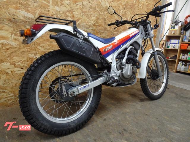 ホンダ TLR250R ノーマル トライアル｜Moto Vivace