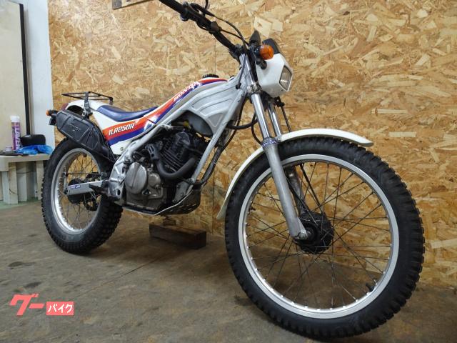 ホンダ TLR250R ノーマル トライアル｜Moto Vivace
