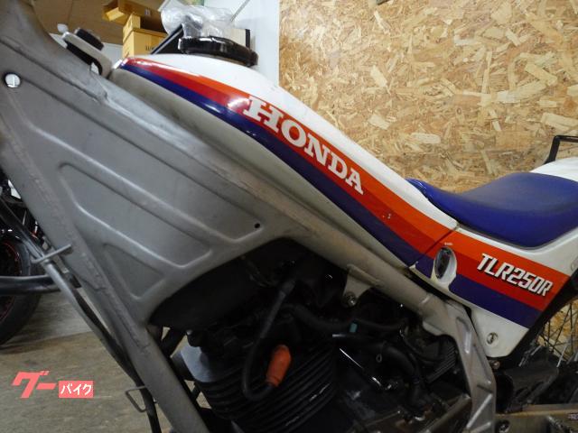 ホンダ TLR250R ノーマル トライアル｜Moto Vivace