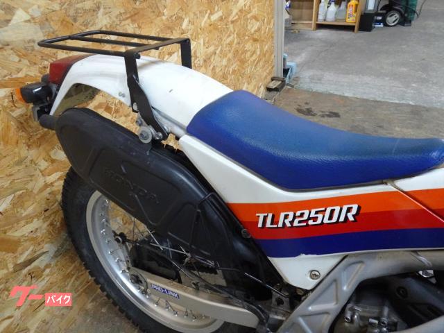 ホンダ TLR250R ノーマル トライアル｜Moto Vivace