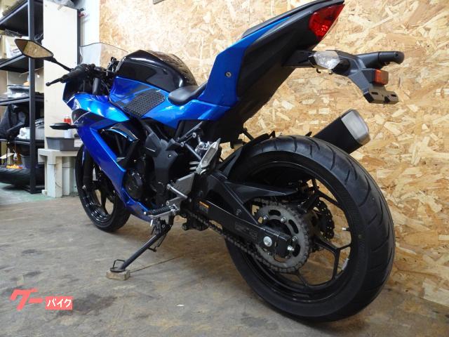 車両情報:カワサキ Ninja 250SL | Moto Vivace モトビバーチェ | 中古