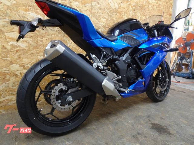 カワサキ Ninja 250SL ノーマル 2016年モデル 4