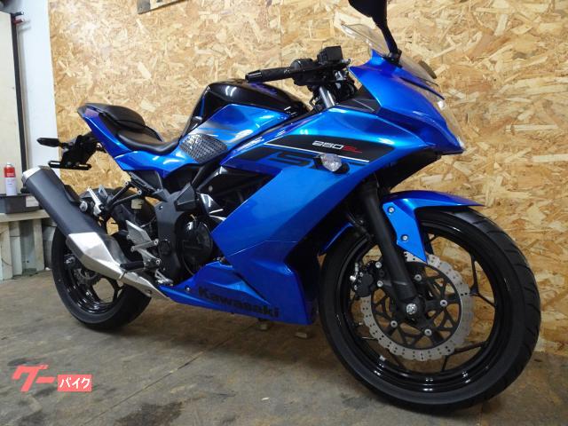 カワサキ Ninja 250SL ノーマル 2016年モデル 4