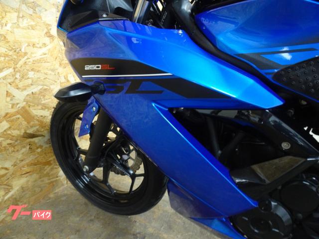 Ninja250SL キレイなブルー　ワンオーナー　純正・改造なし。ショップメンテナンス。 カワサキ Ninja 250SL ノーマル 2016年モデル 4