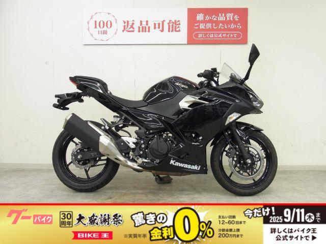 Ｎｉｎｊａ　２５０　２０１９年モデル／ＤＣ電源ソケット／タンクパッド装備／スペアキーあり